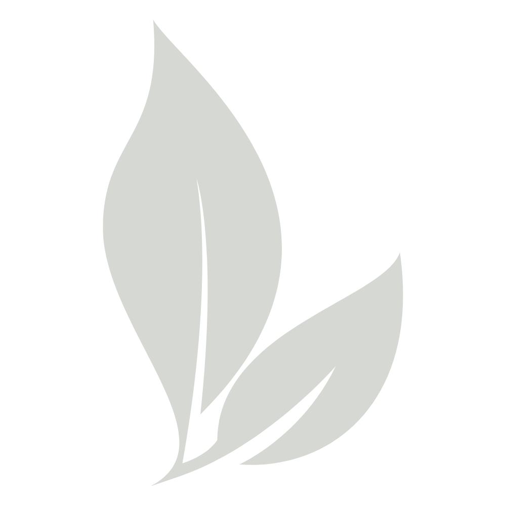 Hojas de arbol icono